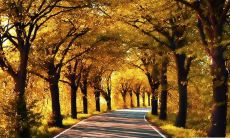 高三英语励志口号