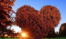 霸气痛到心碎的句子大全