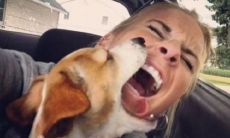 让人女朋友开心的幽默句子