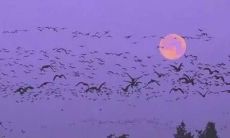 对男人失望心凉励志的句子说说心情