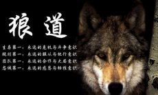 正能量努力的句子
