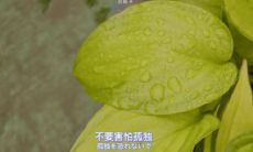 超级温柔的正能量句子 享受一个人独处的励志说说