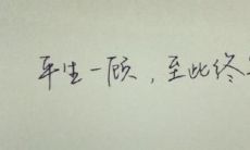 遇见你不后悔的句子