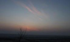 关于孤寂的伤心句子