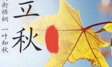立秋发红包的句子