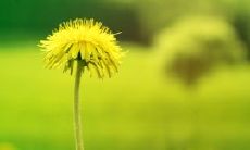 早晨问候语短信大全