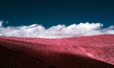 描写游玩后开心的句子