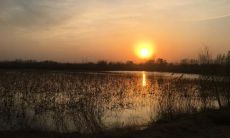 可爱团队口号比较霸气搞笑