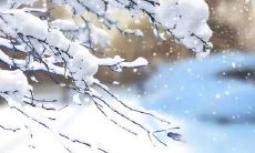 抖音上冬天惊艳文案