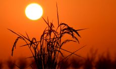 决胜高考口号霸气押韵