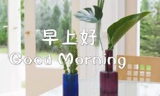 早安最暖心短句