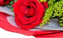 情有独钟的爱情句子