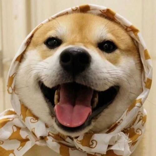 开心果