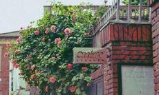 对兄弟朋友失望的句子说说心情