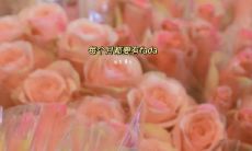 超甜温柔的爱情句子大全 最火温柔到爆的神仙文案