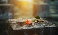 对兄弟失望至极的句子