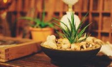 冷暖自知个性签名