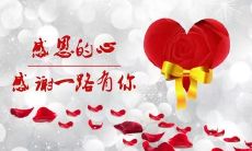 感恩语大全