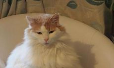 描写不开心神态心理的句子