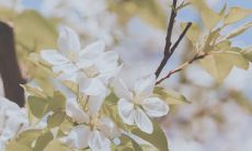 愿你开心快乐每一天的句子 愿你每天开心的句子