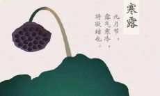 寒露时节的祝福语说说