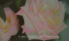 阳光简短的励志唯美句子 走心的励志简短说说语录