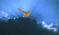 借景抒情的诗句