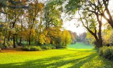 祝福的句子给朋友开心的句子