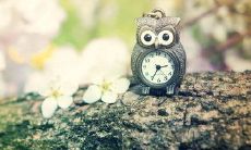 短信问候语客户春季