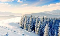 鼓励自己要开心的句子