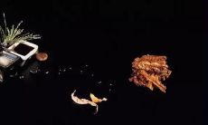 对姐妹失望心寒的句子