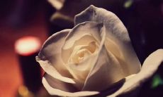 祝恋人开心的精美句子