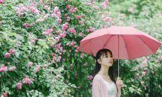 描写心情突然开心的句子