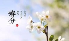 春分幽默祝福语