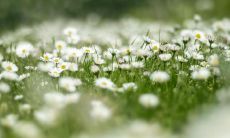 夏天降温短信问候