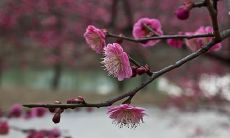 迎接二月唯美句子