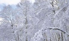 天冷特别的问候短信