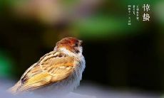 2022惊蛰快乐暖心祝福的句子