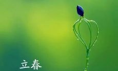 形容有关立春的唯美句子