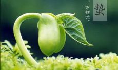 关于惊蛰节气10字诗句