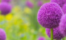 关于友情相伴的句子