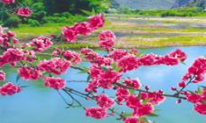 致友情古风唯美的句子