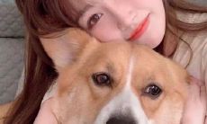 优雅说说大全短句子