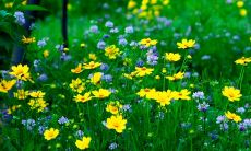 迎接春季的心动句子