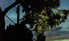 恋爱后发圈的甜蜜句子