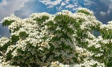 结婚发朋友圈句子