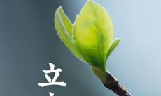描写立春的唯美句子