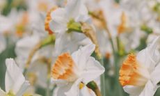 劝朋友坚强的句子大全