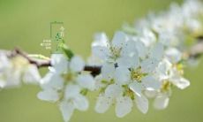 关于春分的唯美句子15句