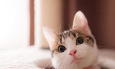 幽默开心的句子